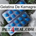 Kamagra Jelly viagra2